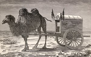 Smeeton-Tilly（Burne Smeeton（fl.1840-60）とAuguste Tilly（d.18 作： Louis Breton